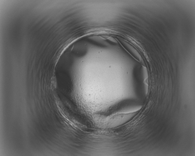 X0000052961481200507300058