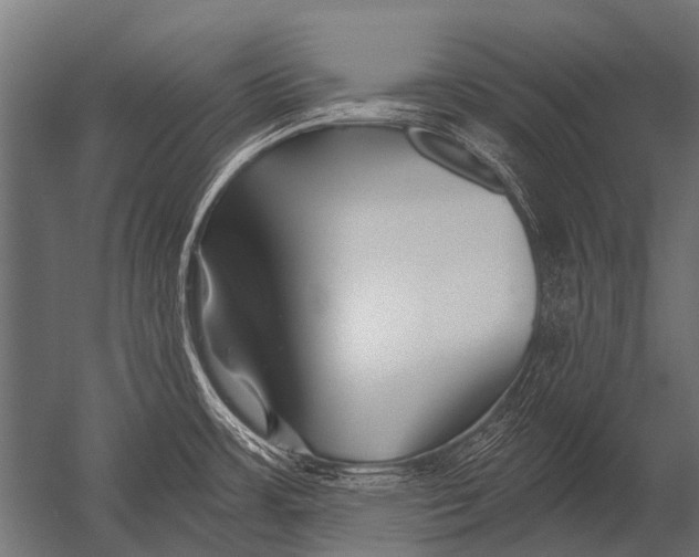 X0000052961483200507300058