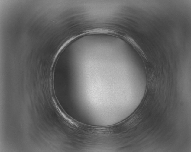 X0000052961484200507300058