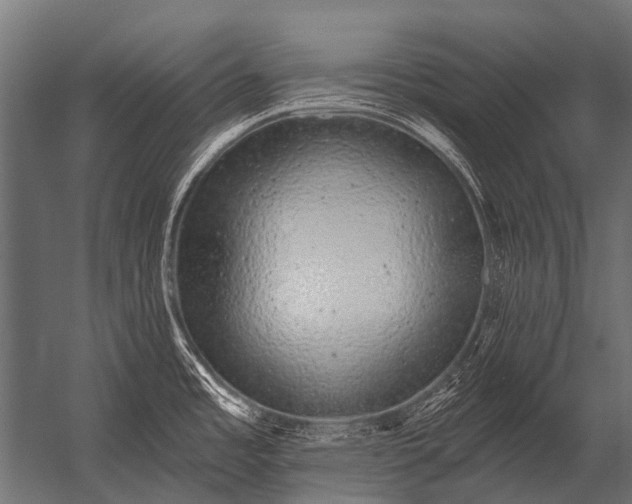 X0000052961485200507300058