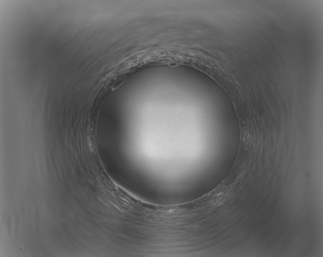 X0000052961490200507300057
