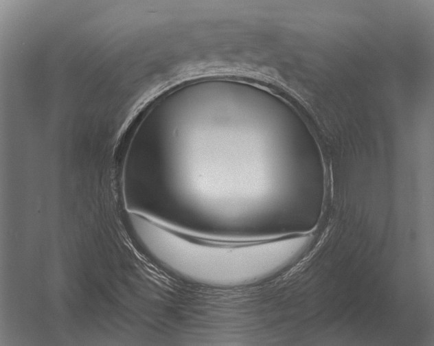 X0000052961501200507300057