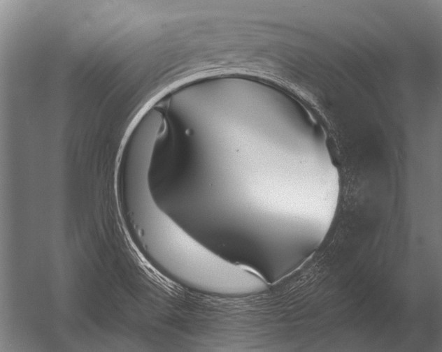X0000052961516200507300058