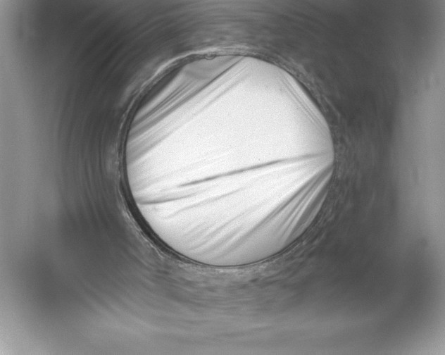 X0000052960002200508051000