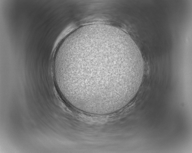 X0000052960004200508051000
