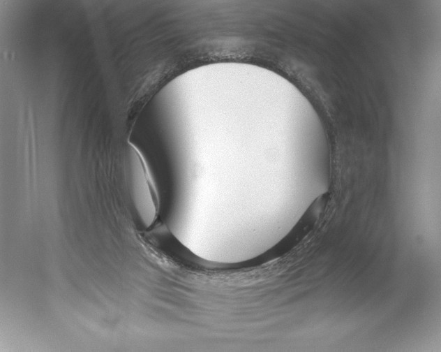 X0000052960017200508051000