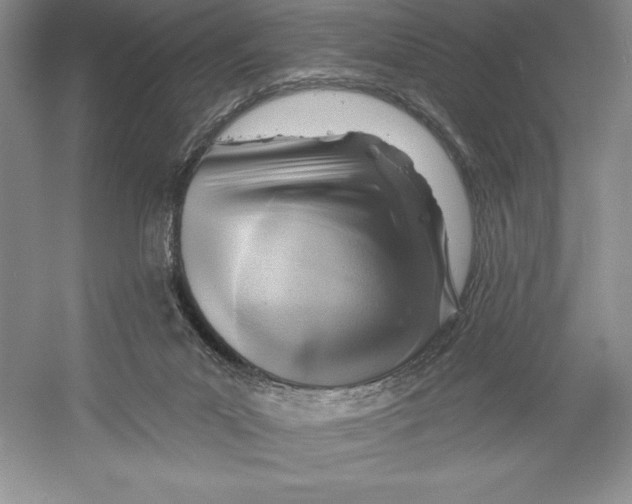 X0000052960023200508051000