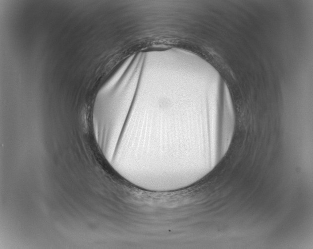 X0000052960026200508051000