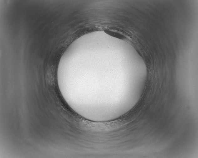 X0000052960030200508051000