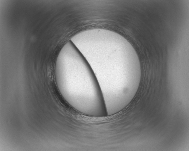X0000052960031200508051000