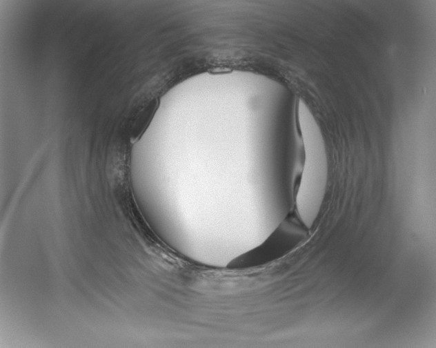 X0000052960033200508051000