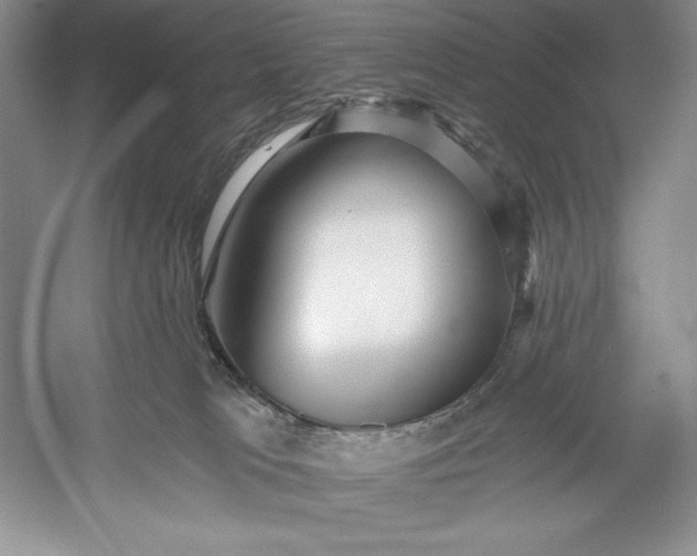 X0000052960037200508051000