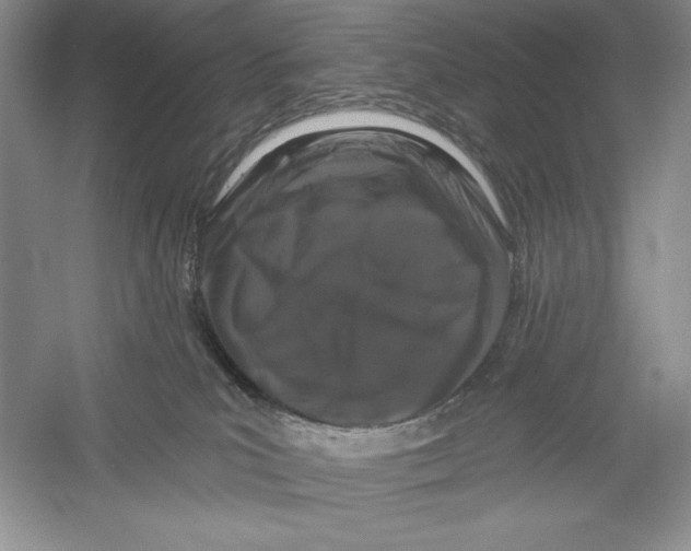 X0000052960039200508051000
