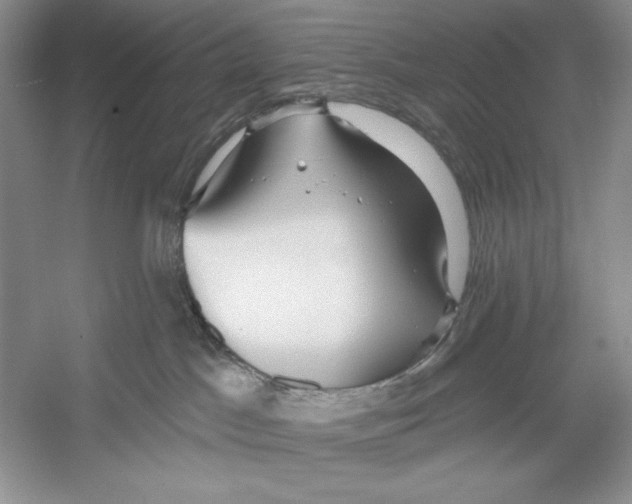 X0000052960045200508051000
