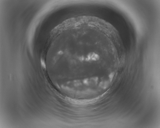 X0000052960047200508051000