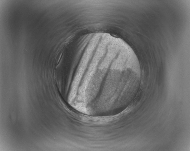 X0000052960048200508051000