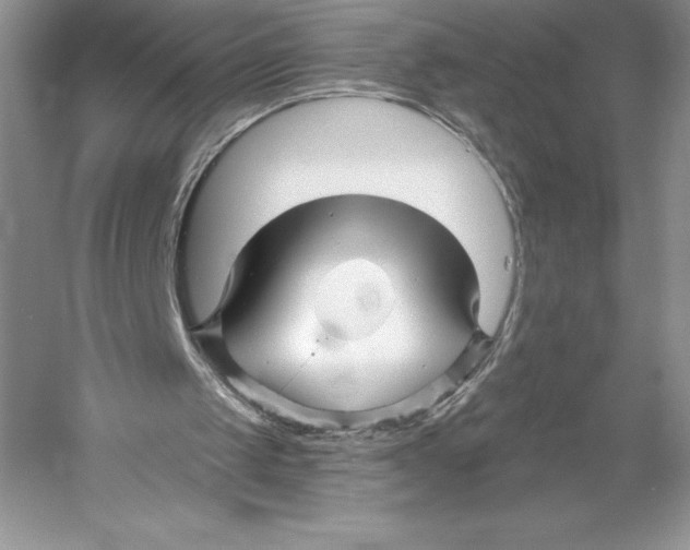 X0000052960049200508050959