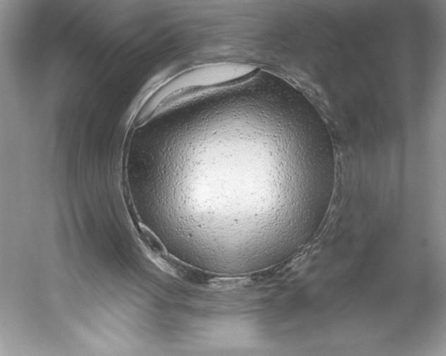 X0000052960051200508050959