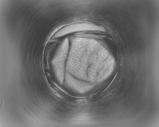 X0000052960052200508050959