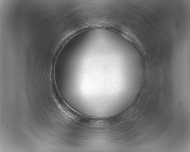 X0000052960058200508050959