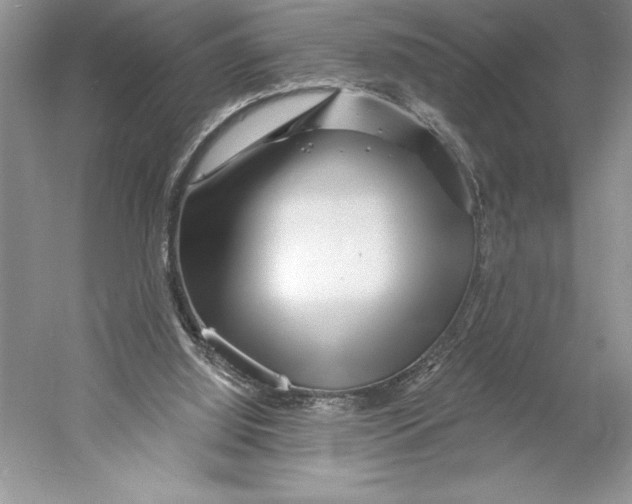 X0000052960060200508050959