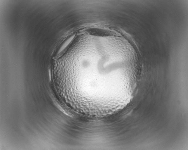 X0000052960061200508050959
