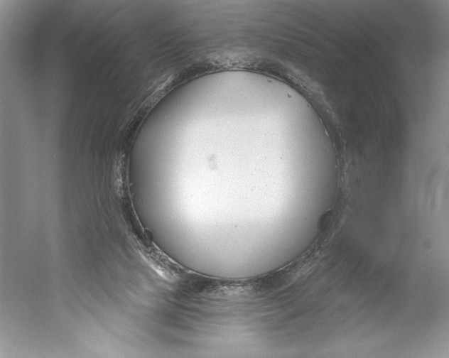 X0000052960065200508050959