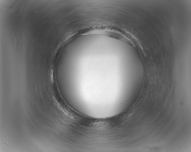X0000052960067200508050959