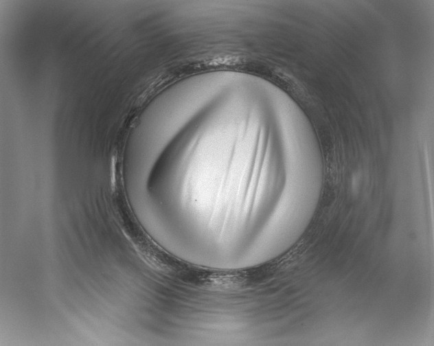 X0000052960070200508050959