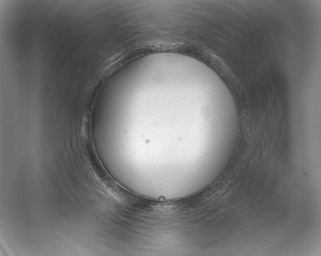 X0000052960071200508050959