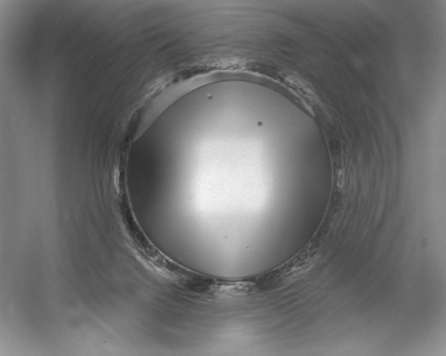 X0000052960072200508050959