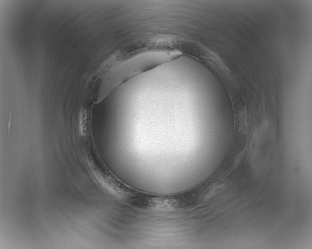 X0000052960073200508050959