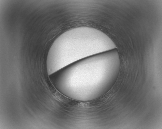 X0000052960080200508050959