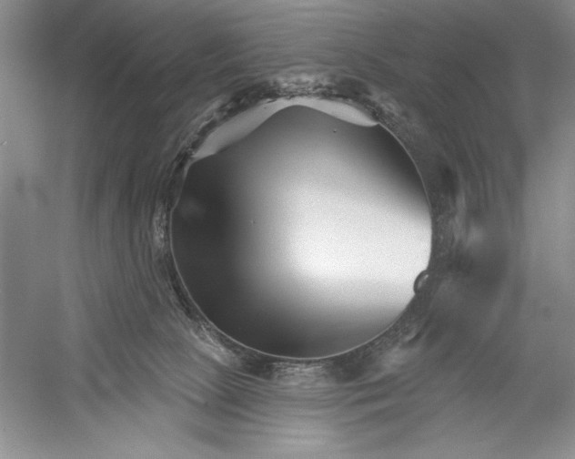 X0000052960081200508050959