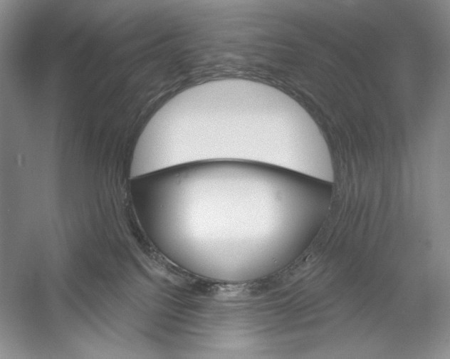 X0000052960088200508050959
