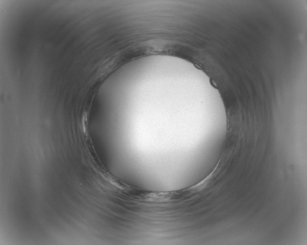 X0000052960094200508051000