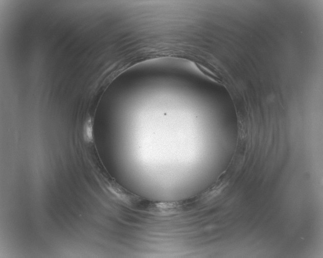 X0000052960095200508051000