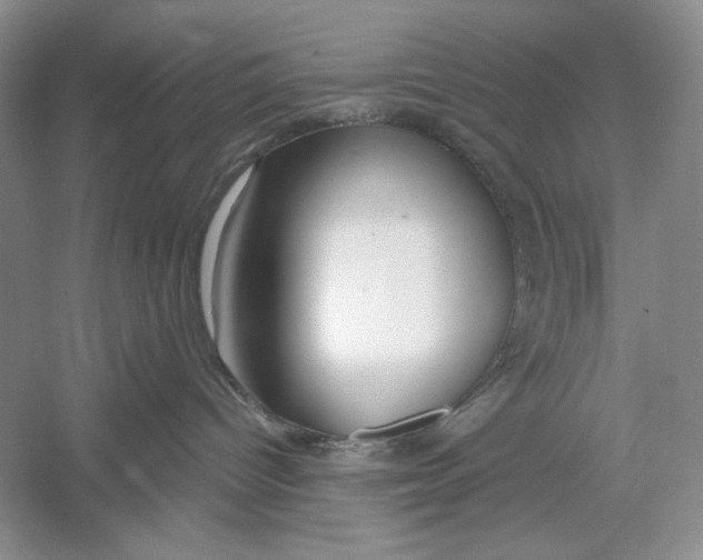 X0000052960096200508051000