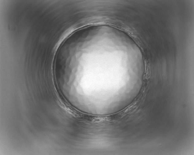 X0000052960099200508050959