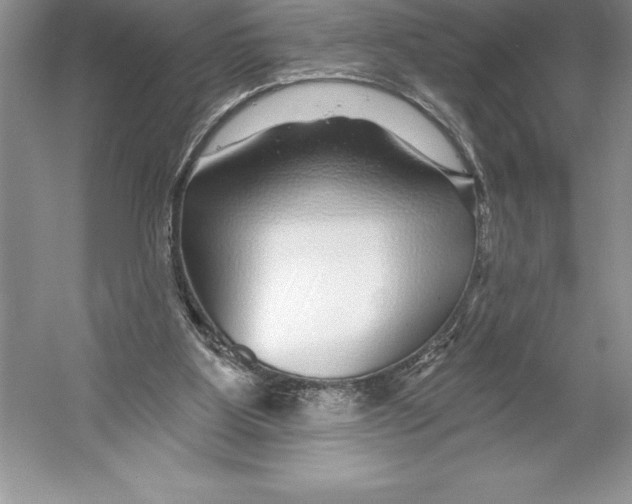X0000052960107200508050959