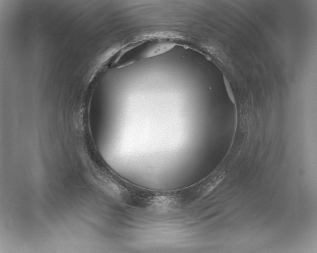 X0000052960111200508050958