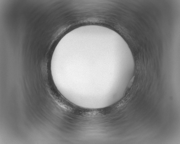 X0000052960112200508050958