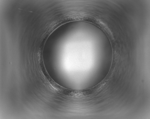 X0000052960113200508050958