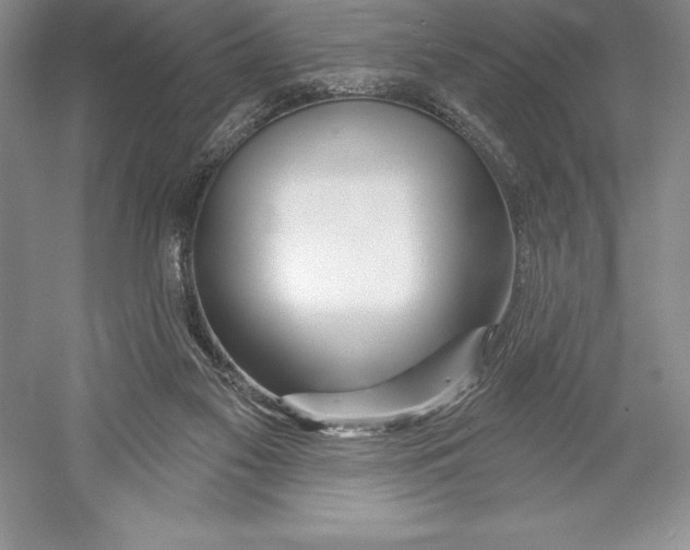 X0000052960117200508050958