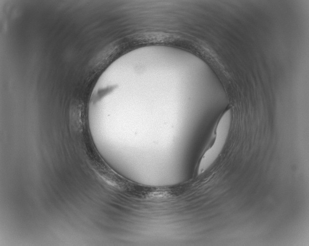 X0000052960119200508050958