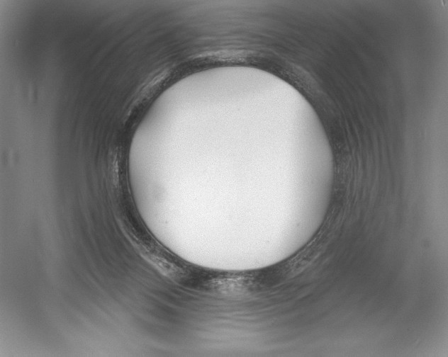 X0000052960120200508050958