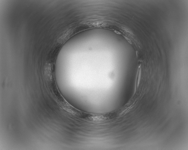 X0000052960121200508050958