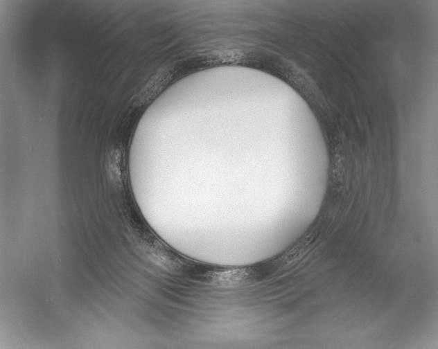 X0000052960122200508050958