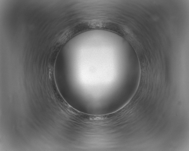 X0000052960125200508050958