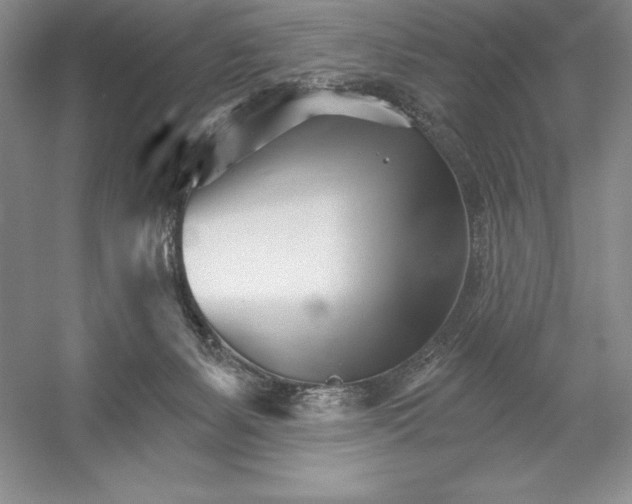 X0000052960127200508050958